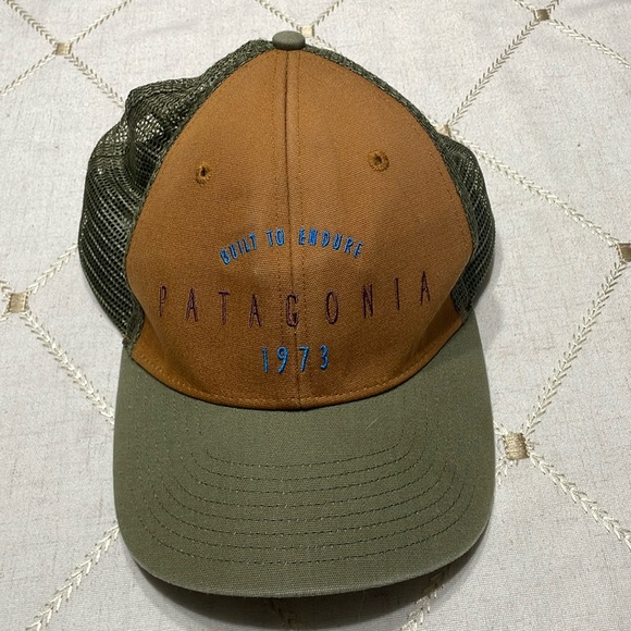 Patagonia Other - Patagonia Cap